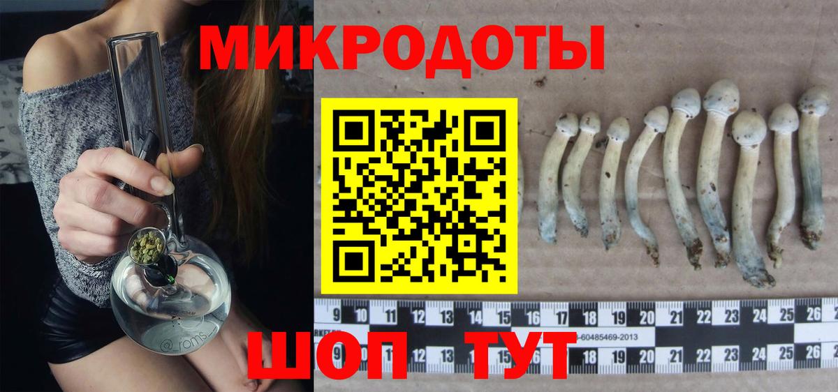 Псилоцибиновые грибы ЛСД Дятьково