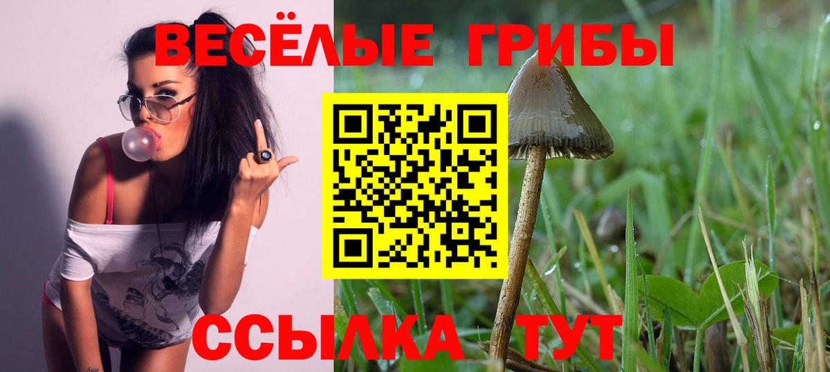 Дятьково  Псилоцибиновые грибы мухоморы  Вход с VPN 